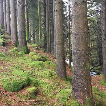 Sentralt Og Moderne, Ett Soverom * Haugesund
